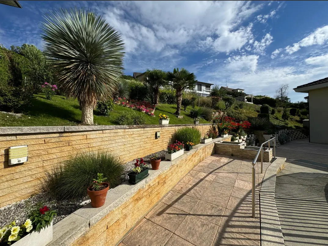 Foto: terrazza e palme